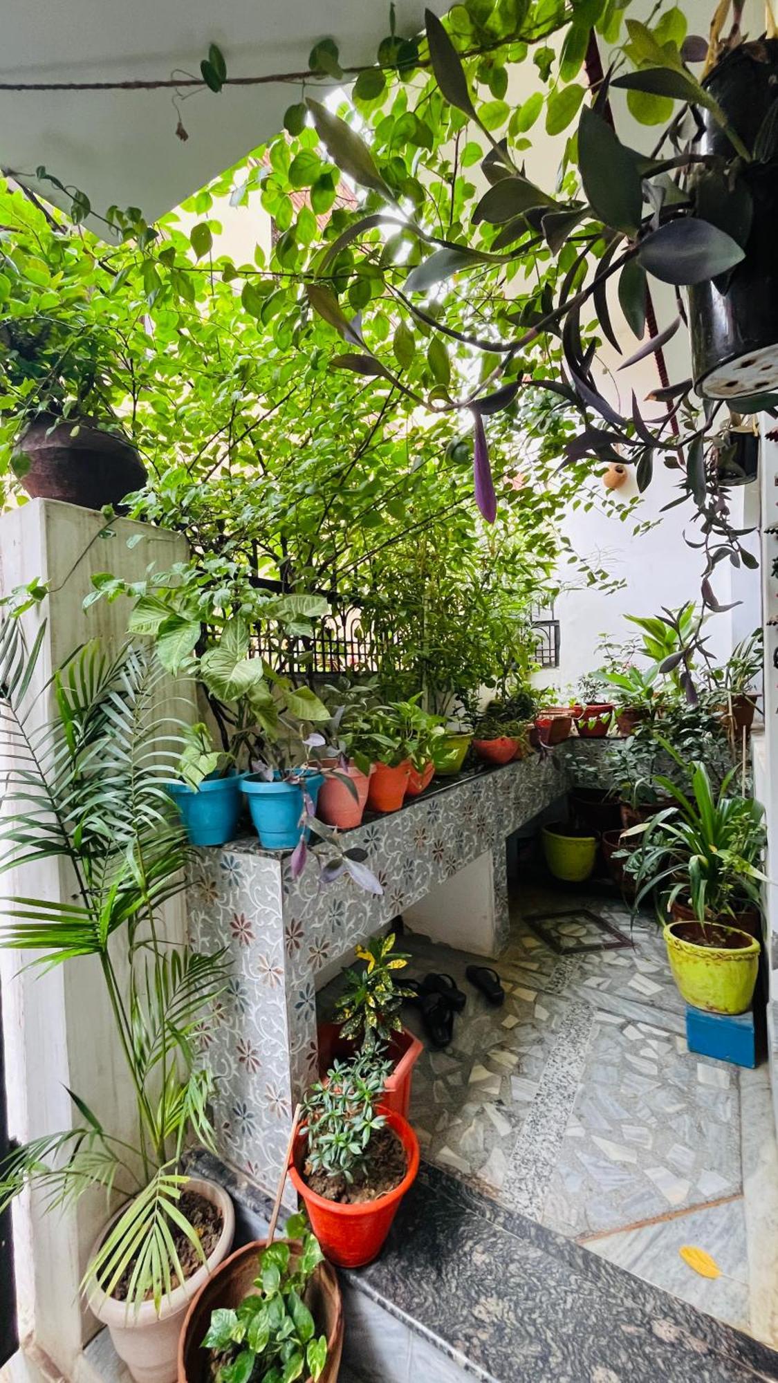 El Profesor Varanasi Exterior photo
